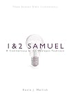 NBBC, 1 & 2 Samuel: A Commentary in the Wesleyan Tradition (New Beacon Bible Commentary)