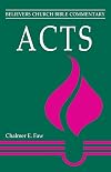 Acts (Believers Church Bible Commentary)