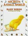 Baby Birds: Growing and Flying (Secrets of the Animal World)