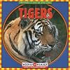 Tigers (Animals I See at the Zoo)