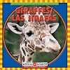 Giraffes (Animals I See at the Zoo)