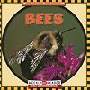 Bees (Let's Read About Insects)