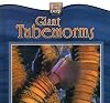 Giant tubeworms