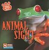 Animal Sight (Animals and Their Senses)