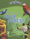 Find It in a Rain Forest (Can You Find It?)