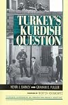 Turkey's Kurdish question
