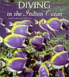 Diving The Indian Ocean