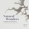Natural Wonders: The Sublime in Contemporary Art: Thirteen Artists Explore Nature's Limits