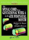 The Spinal Cord from Gestational Week 4 to the 4th Postnatal Month