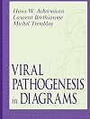 Viral Pathogenesis in Diagrams