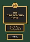 The Cryptorchid testis
