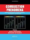 Combustion Phenomena: Selected Mechanisms of Flame Formation, Propagation and Extinction