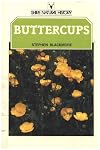 Buttercups (Shire natural history)