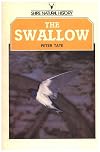 The Swallow