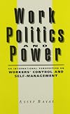 Work, Politics, and Power: An International Perspective on Workers' Control and Self-Management