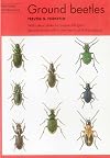 Naturalists' Handbooks 8: Common ground beetles