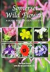 Somerset Wild Flowers