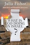 What Is God Doing in Israel: When Jews and Palestinians Meet Jesus