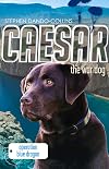 Caesar the War Dog 2: Operation Blue Dragon