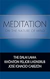 Meditation on the Nature of Mind
