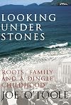 Looking Under Stones