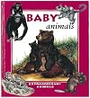 Baby Animals (Extraordinary Animals Series)