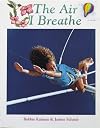The Air I Breathe