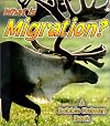 What Is Migration? (Bobbie Kalman Books (Paperback))