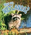 What Are Wetlands?