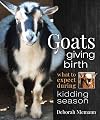 Goats Giving Birth: What to Expect during Kidding Season
