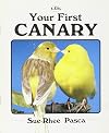 Your First Canary (Your First Series)