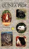Step-By-Step Book About Guinea Pigs