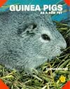 Guinea Pigs as a New Pet