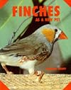 Finches As a New Pet