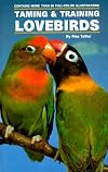 Taming and Training Lovebirds