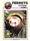 Ferrets in Your Home