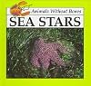 Sea Stars (Animals Without Bones)