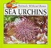 Sea Urchins (Animals Without Bones Discovery Animals)