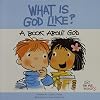What Is God Like?: A Book about God (Just for Me Books)