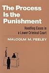 The Process Is the Punishment: Handling Cases in a Lower Criminal Court