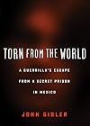 Torn from the World: A Guerrilla's Escape from a Secret Prison in Mexico (City Lights Open Media)