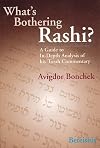 What's Bothering Rashi? - Bereishis (What's Bothering Rashi Series)