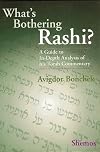What's Bothering Rashi? - Shemos (What's Bothering Rashi Series)