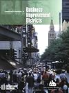 Business Improvement Districts, Second Edition