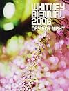 Whitney Biennial 2006: Day for Night