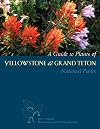 A Guide to Plants of Yellowstone and Grand Teton National Parks