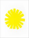 Shannon Ebner: The Sun as Error
