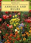 Annuals and Bulbs