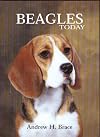 Beagles Today