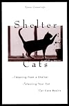 Shelter Cats